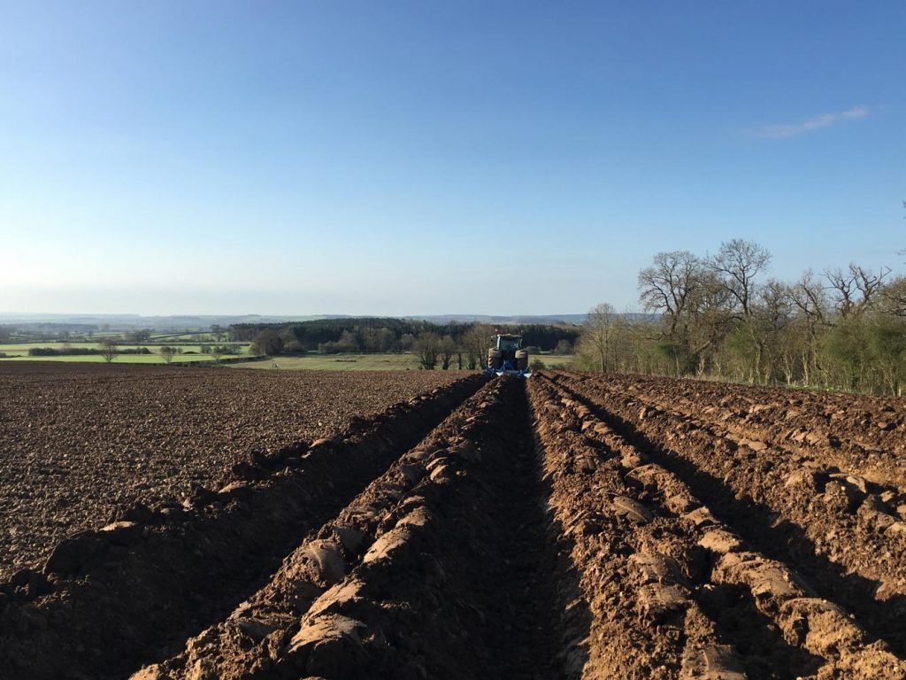 Potato bedforming precision ag